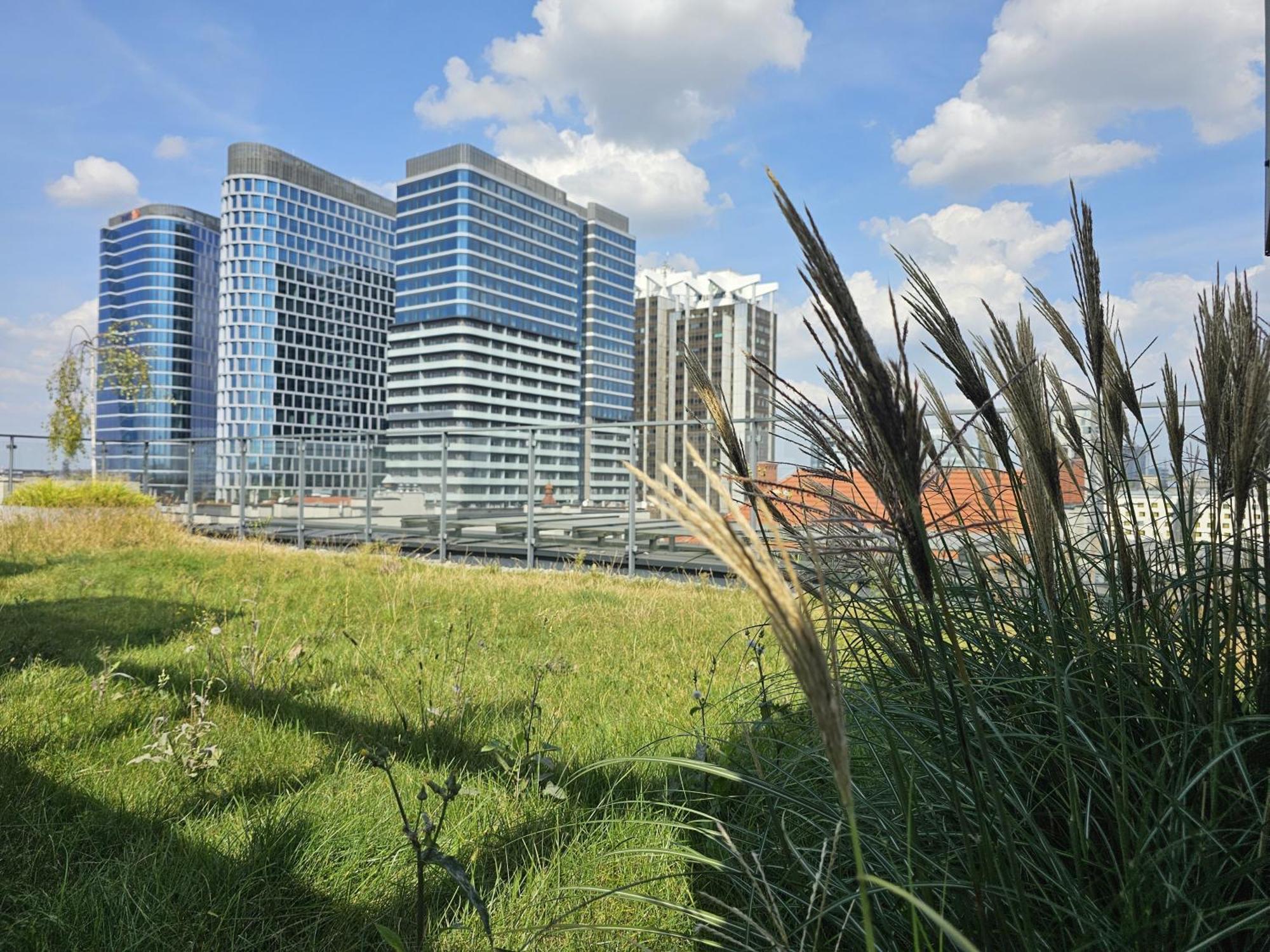 Urban Apartments Premium, Opolska 10 No 67B, Free Garage, Self Check-In Kattowitz Exterior foto